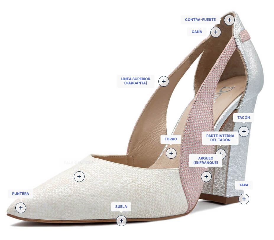 Secciones de un zapato de mujer